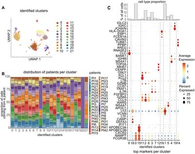 Immunological characteristics of bronchoalveolar lavage fluid and blood across connective tissue disease-associated interstitial lung diseases